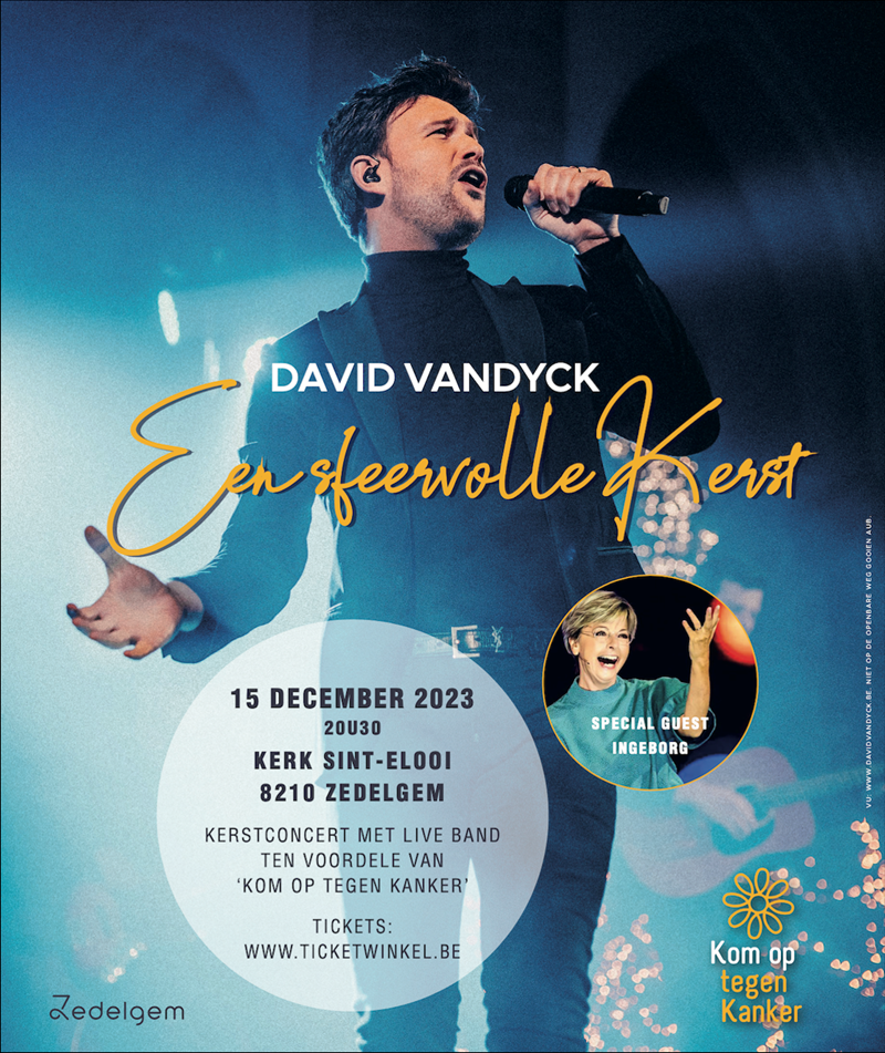 Een Sfeervolle Kerst met David Vandyck